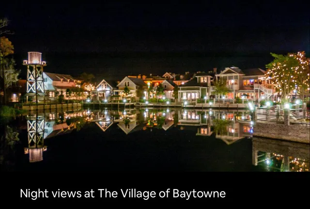 a view of a bunch of flowers