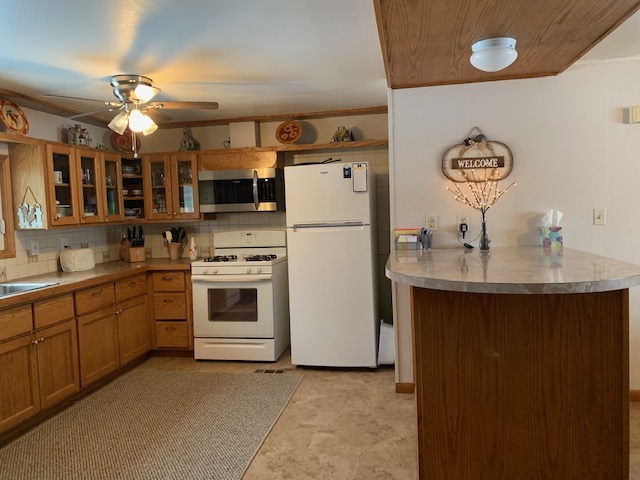 960 West Geers Road McBain, MI 49657 - Photo 6 of 53 1883203-5.JPG