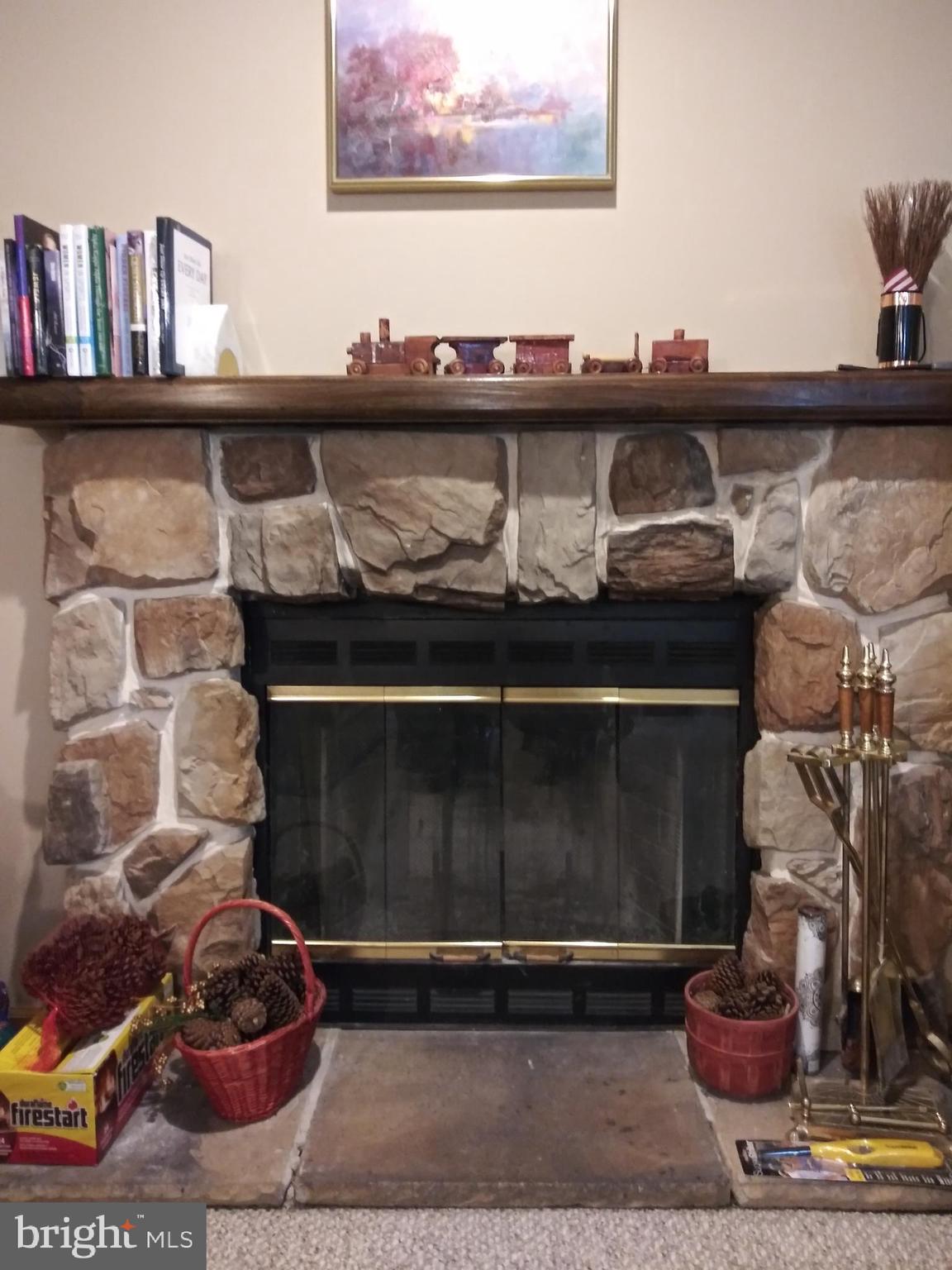 7753 Mellon Road Wyncote, PA 19095 - Photo 15 of 48 Family Room Fire Place