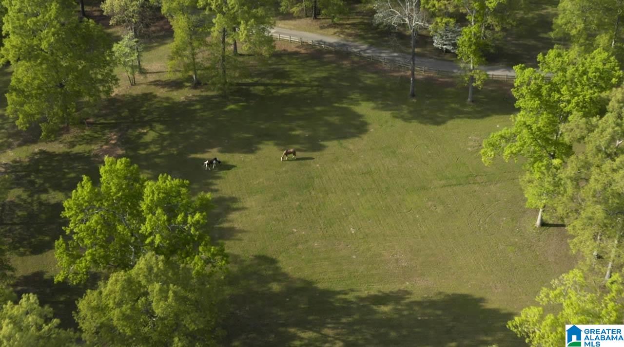 South Oak Drive, Unit 1 Montevallo, AL 35115 - Photo 10 of 25