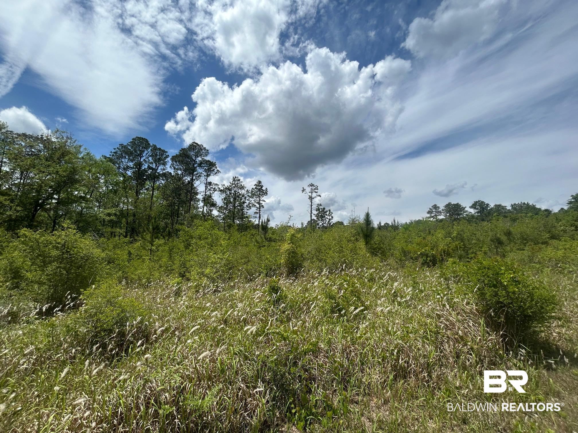0 Hampton Road Mobile, AL 36608 - Photo 13 of 13