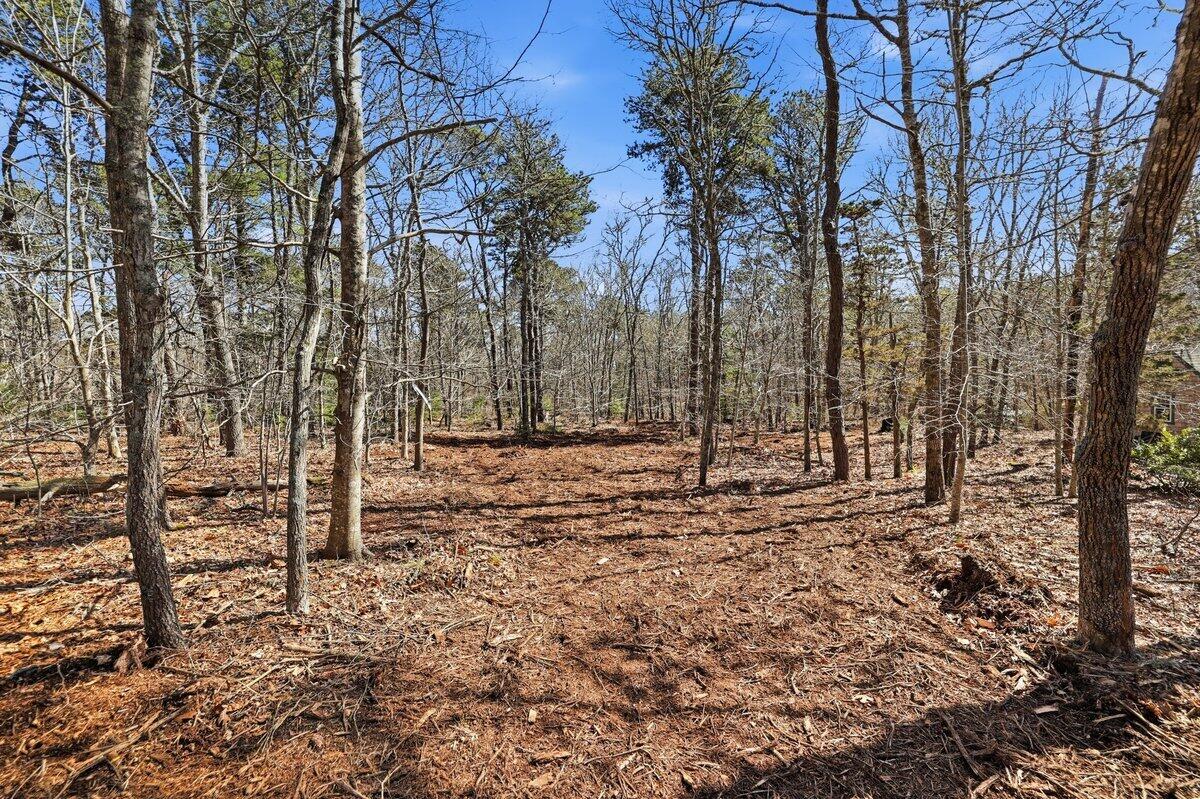 0 Old Long Pond Road Brewster, MA 02631 - Photo 2 of 10 lot access