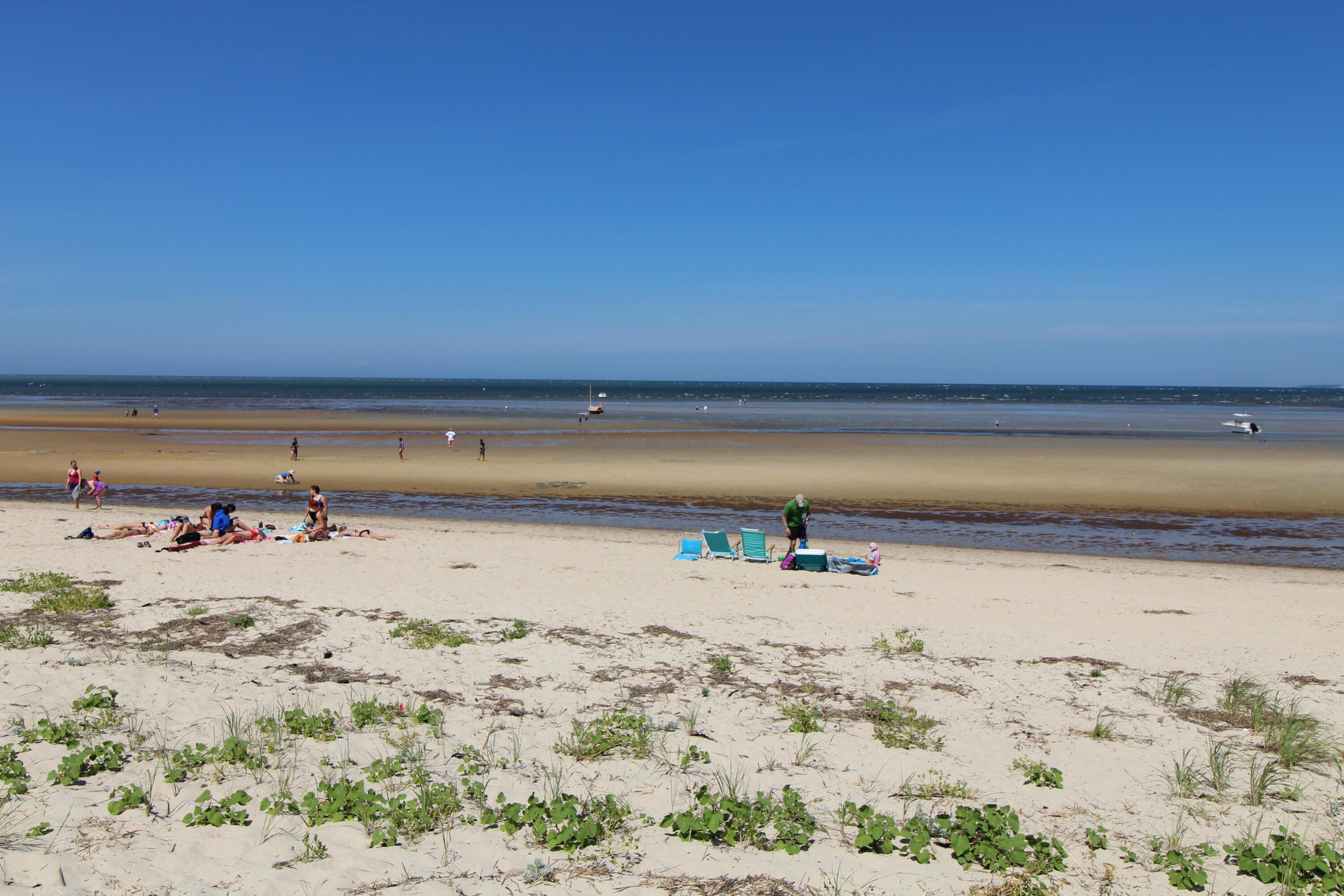 0 Old Long Pond Road Brewster, MA 02631 - Photo 8 of 10 Bay beach