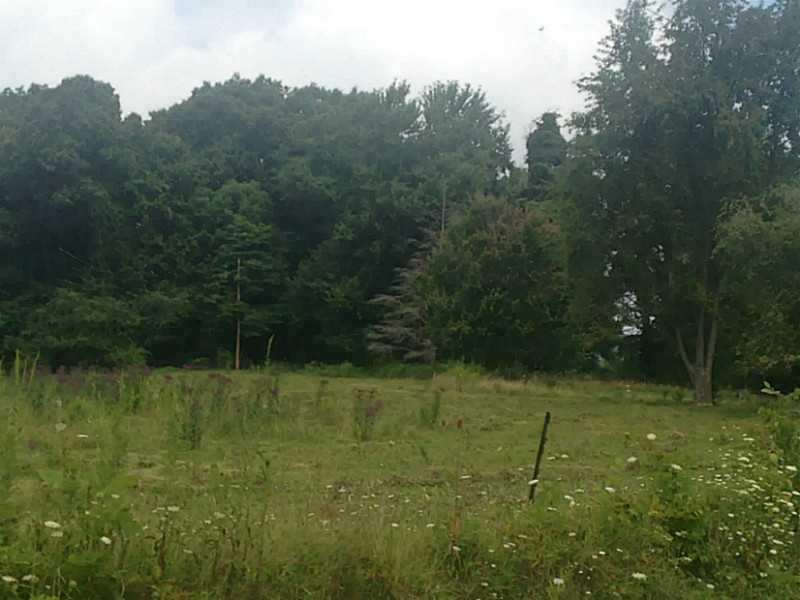 287 Derry Ridge Road Ligonier, PA 15658 - Photo 7 of 9 Yard/Garden.