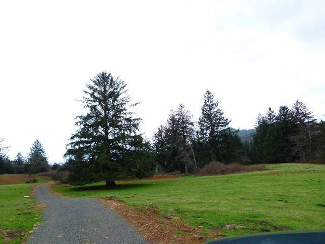 Tl#1009 Bel Air Road Cloverdale, OR 97112 - Photo 1 of 20 P1080401