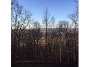 4780 Edens View Road Kingsport, TN 37664 - Photo 33 of 36 Back deck views in Fall and wi