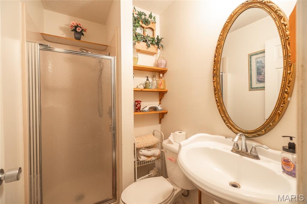 15406 State Route Winona, MO 65588 - Photo 25 of 62