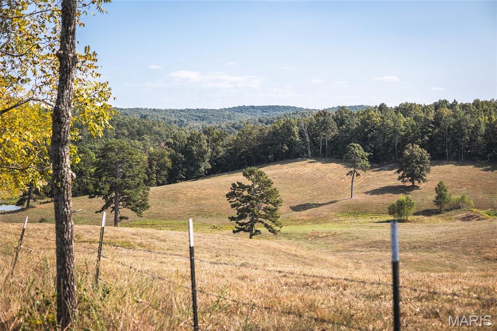 15406 State Route Winona, MO 65588 - Photo 43 of 62