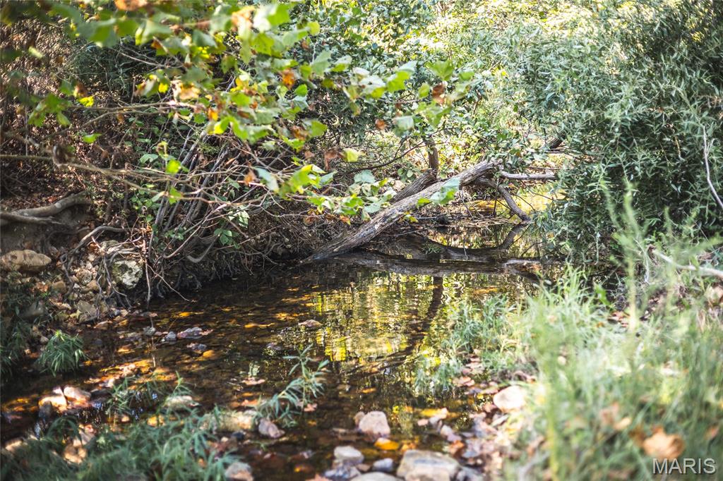 15406 State Route Winona, MO 65588 - Photo 5 of 62