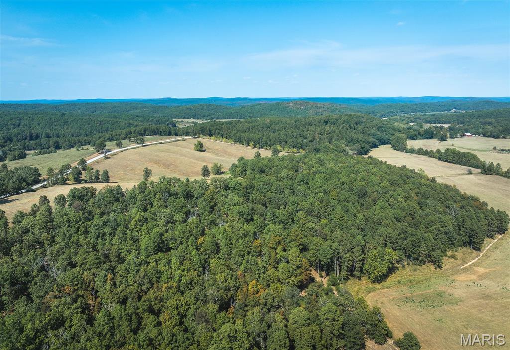 15406 State Route Winona, MO 65588 - Photo 54 of 62