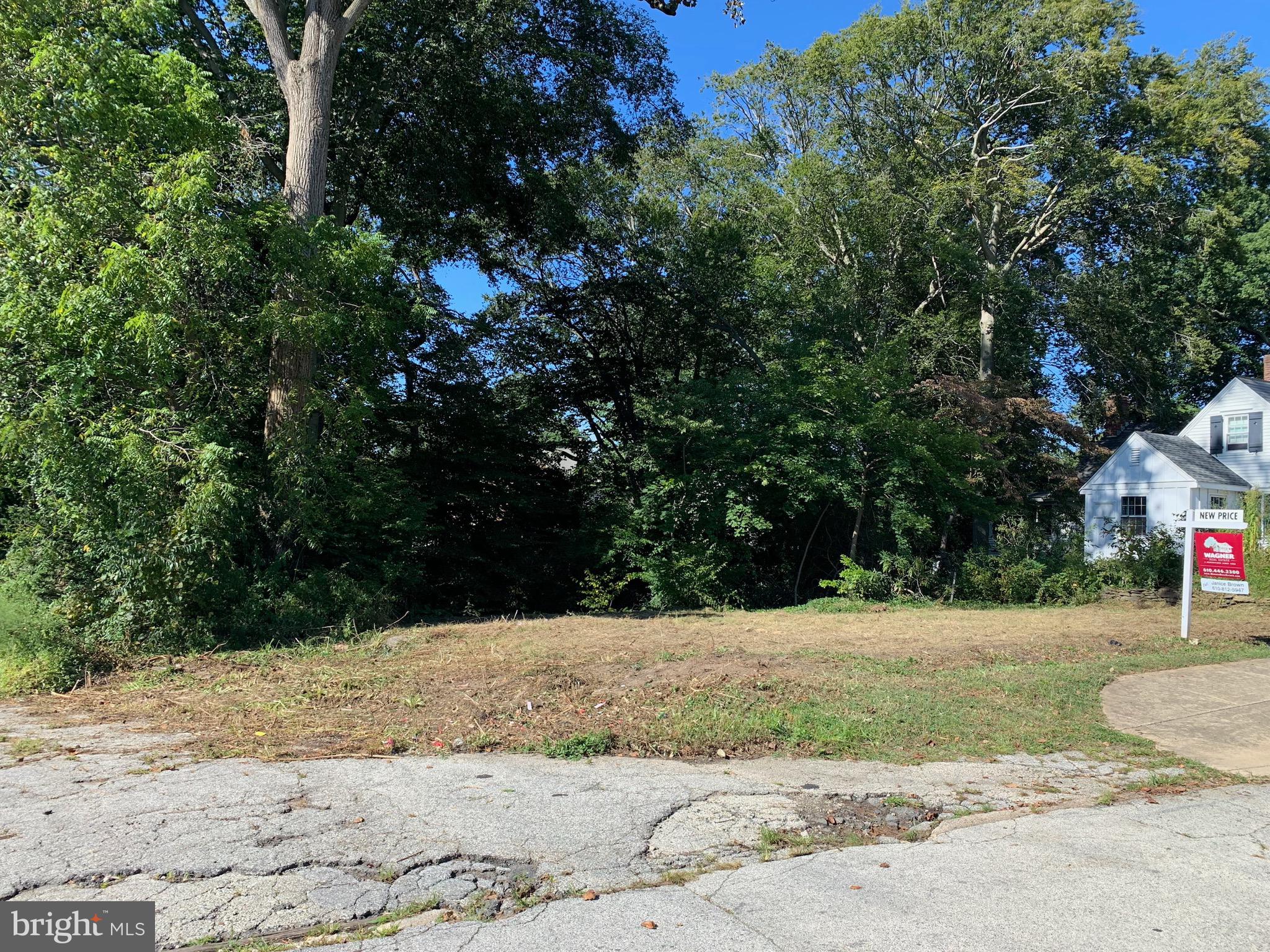 0 Harvard Road Havertown, PA 19083 - Photo 2 of 2 a view of a yard with large trees