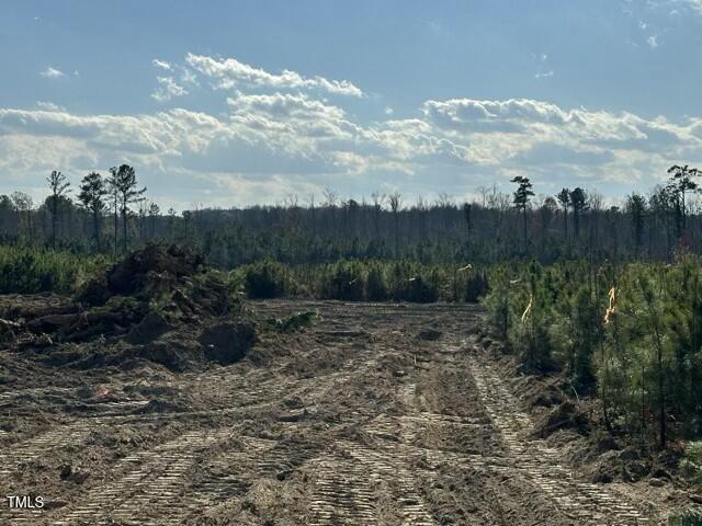 Lot 19 Good Shepherd Trail Spring Spring Hope, NC 27882 - Photo 7 of 12 tempImageUbSJWb