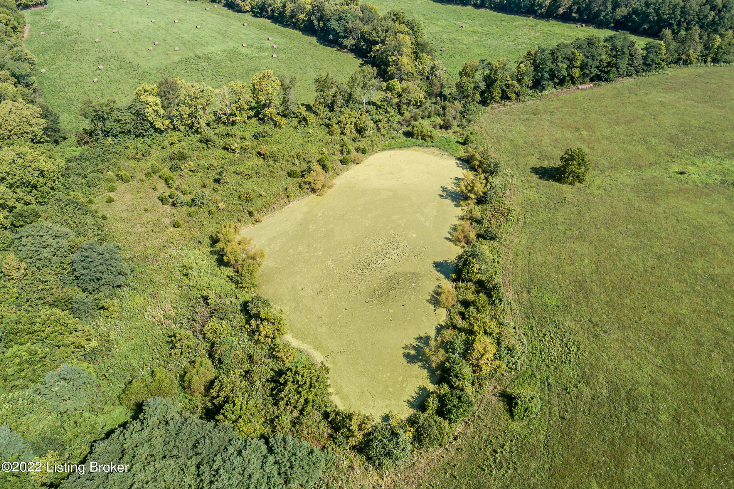 2 Drennon Road Campbellsburg, KY 40011 - Photo 5 of 10 DrennonRdFarm-5