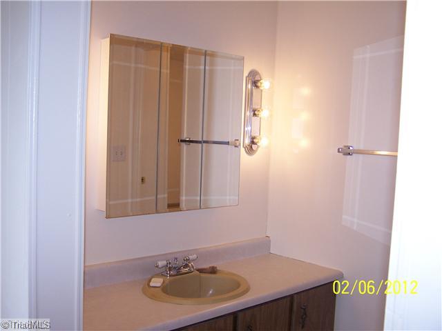 3802 Amostown Road Sandy Ridge, NC 27046 - Photo 15 of 16 Master Bath/Spa. Separate Vanity.
