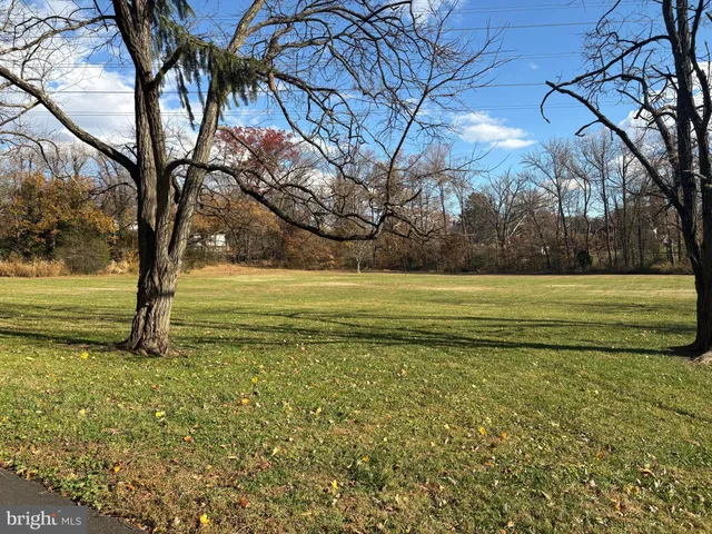 a view of a field with large trees