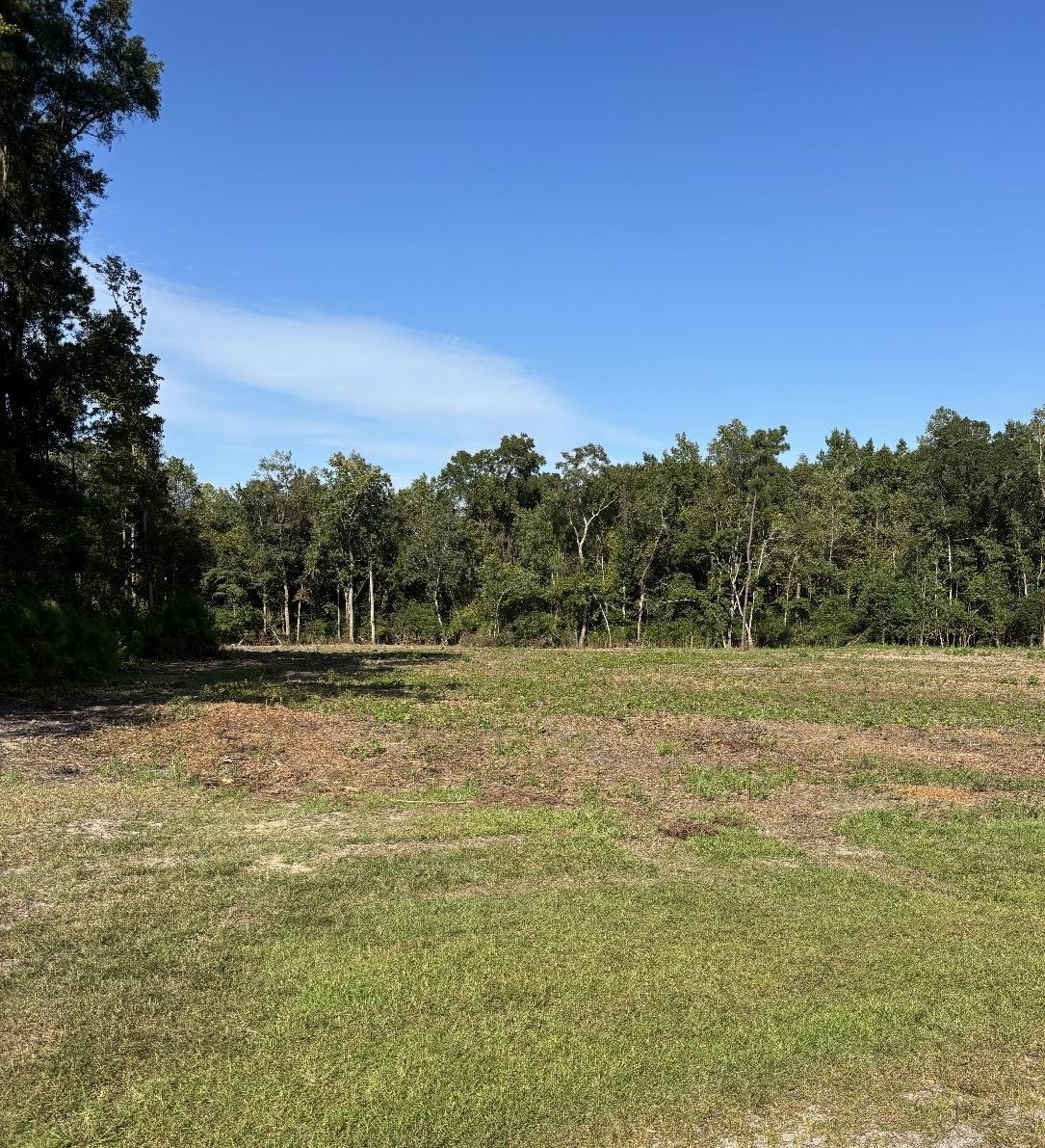 Tbd Cane Branch Church Road Conway, SC 29527 - Photo 2 of 2 Gallery Image 2