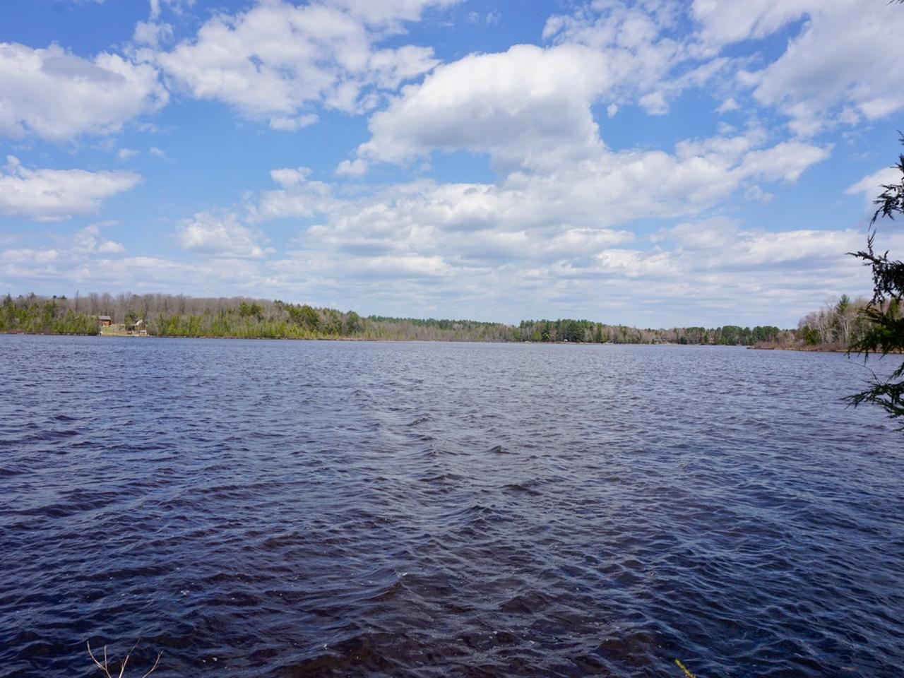 1320 North Big Lake Loop Road Three Lakes, WI 54562 - Photo 2 of 24 Gallery Image 2