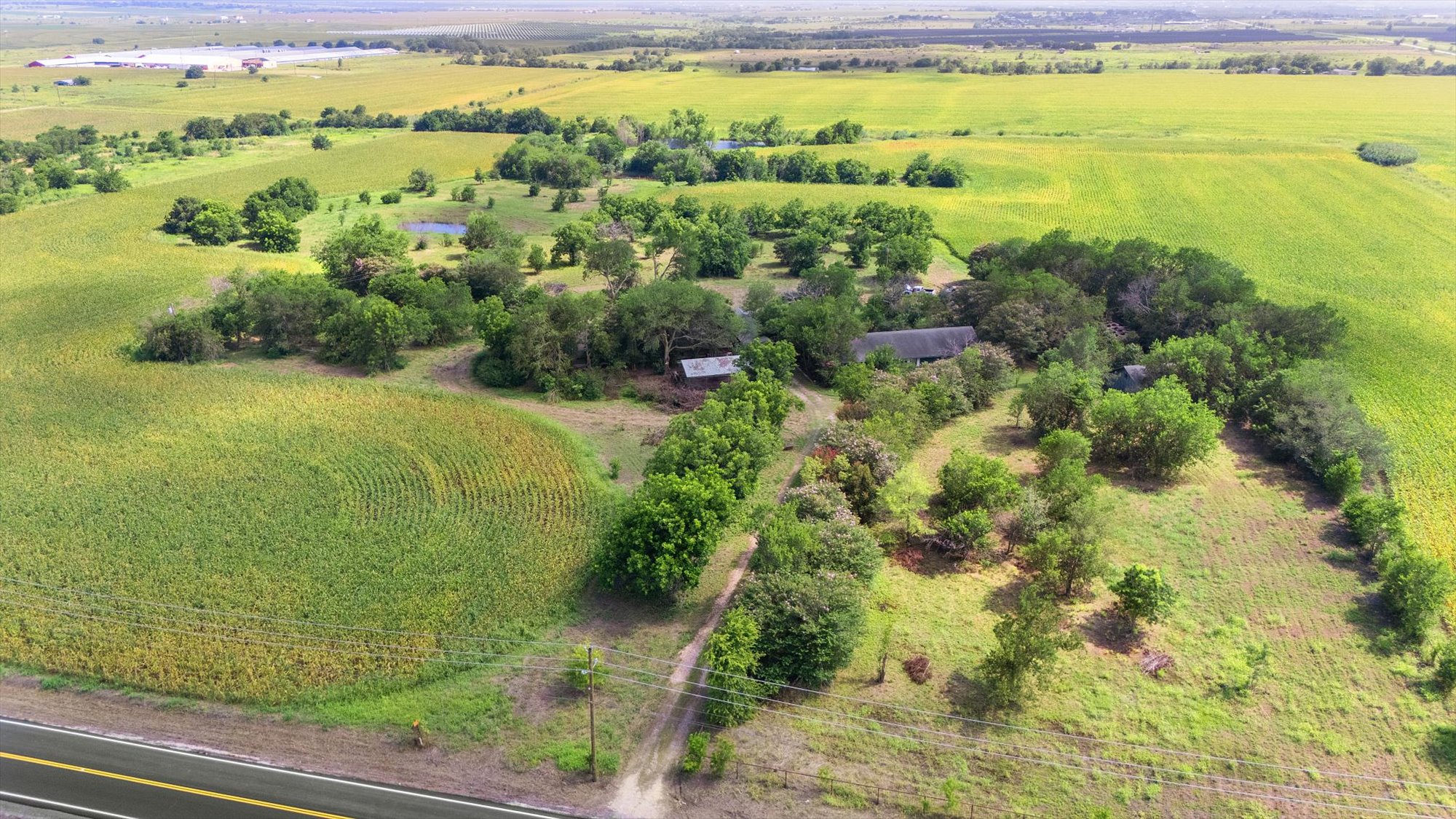 14201 Lund - Carlson Road Coupland, TX 78615 - Photo 16 of 40 Vast open land provides agricultural opportunities and a serene rural backdrop.