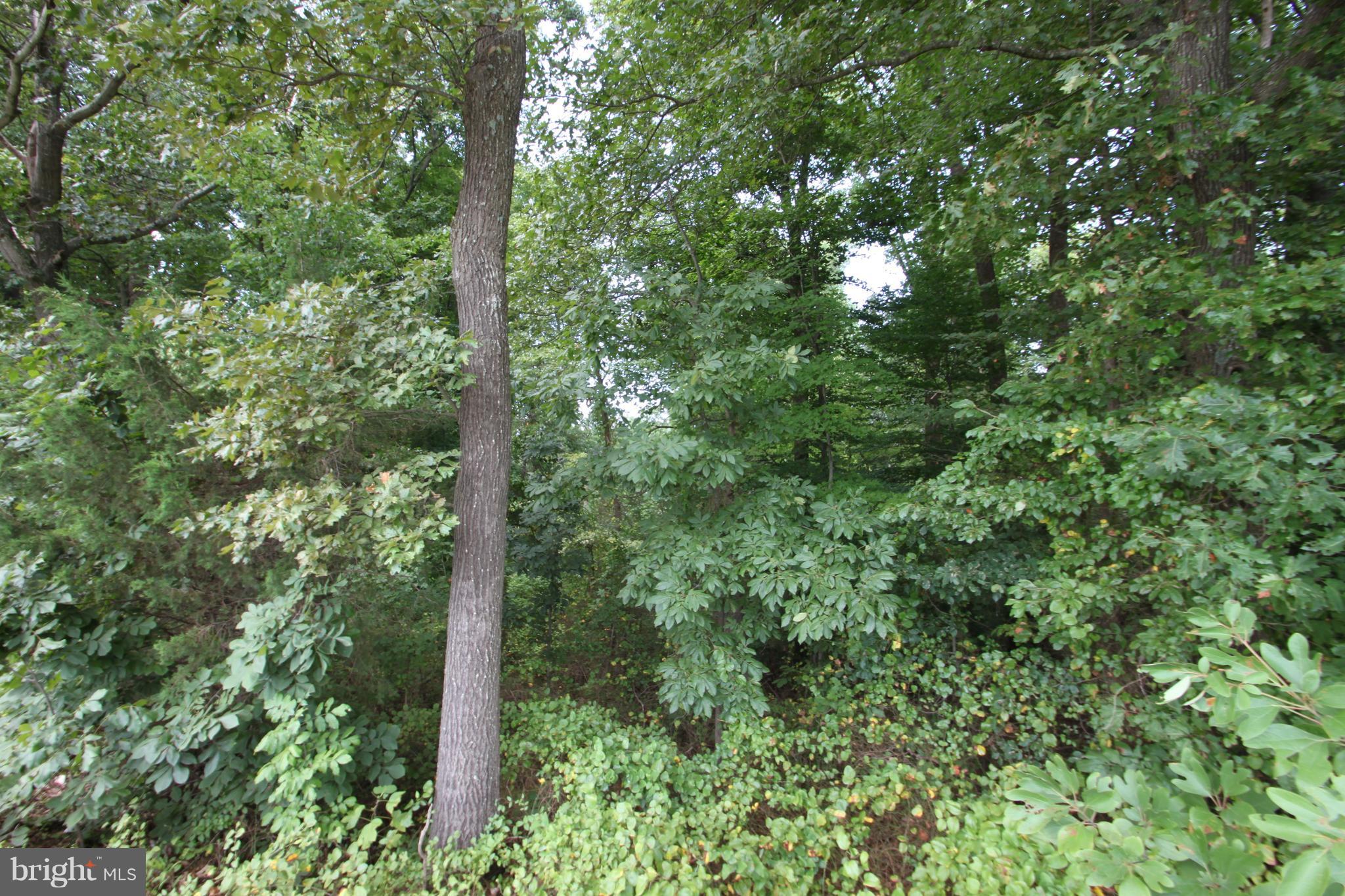 South Merrimac Road Culpeper, VA 22701 - Photo 1 of 2 Exterior (General)