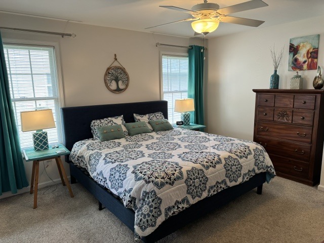 318 Piazza Lane Chatham, IL 62629 - Photo 24 of 43
