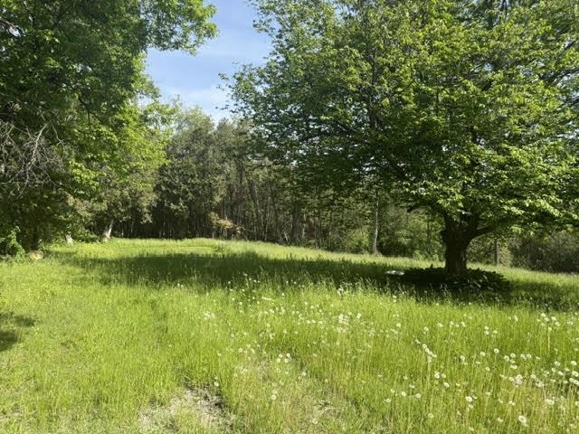 487 Country Club Road Highgate, VT 05488 - Photo 5 of 9