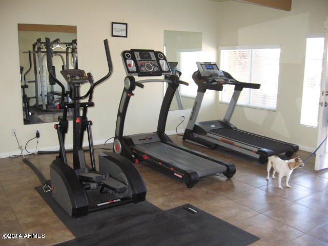 5401 East Thomas Road, Unit 1019 Phoenix, AZ 85018 - Photo 8 of 11 20140425211406547321000000-o
