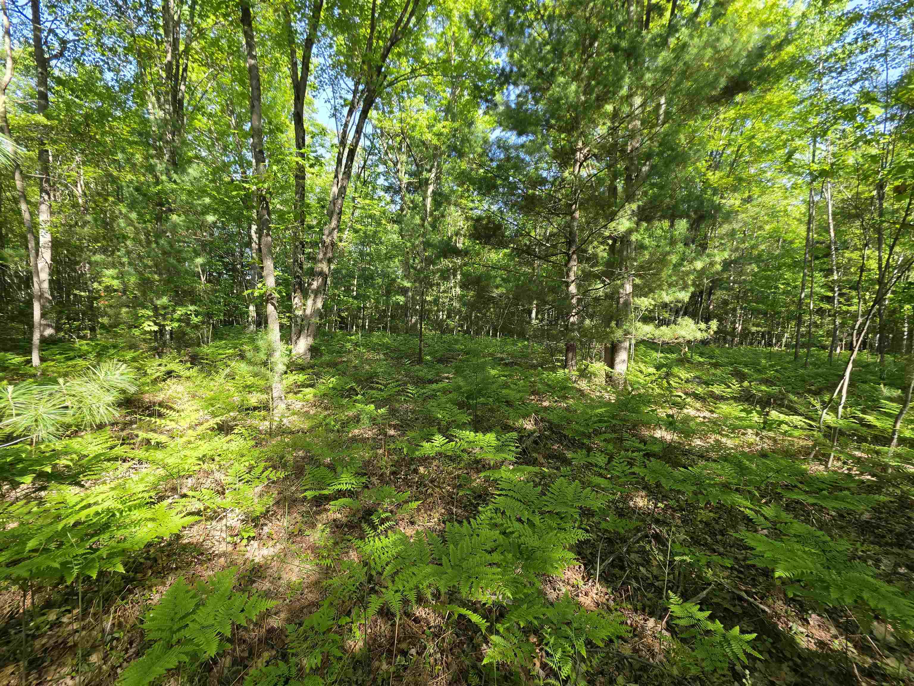 Tbd North Lakeshore Road Gladwin, MI 48624 - Photo 6 of 33
