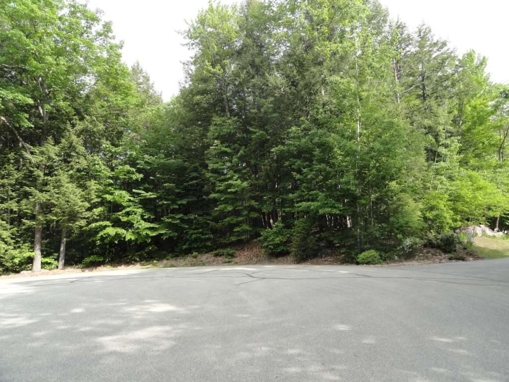 Camp Waldron Road, Unit 39 Meredith, NH 03253 - Photo 4 of 16