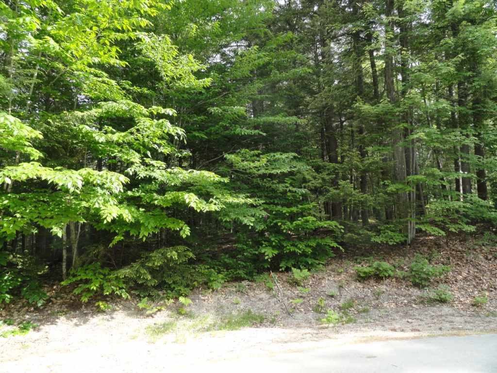 Camp Waldron Road, Unit 39 Meredith, NH 03253 - Photo 5 of 16