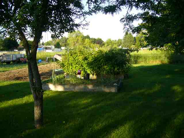 1708 North Locust Road Spokane Valley, WA 99206 - Photo 7 of 8