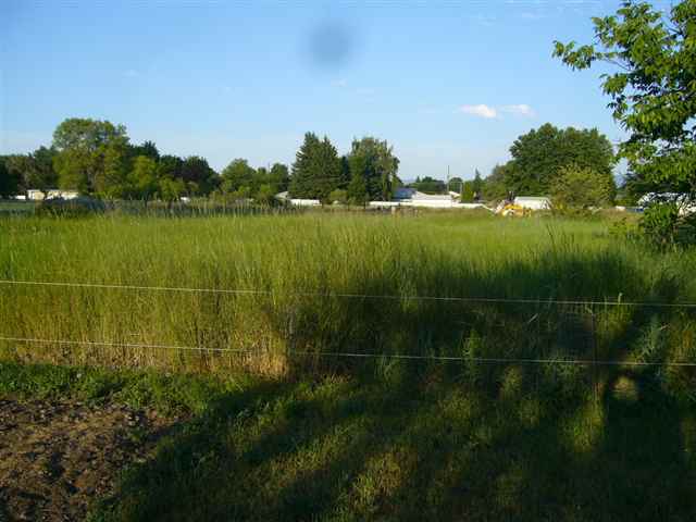 1708 North Locust Road Spokane Valley, WA 99206 - Photo 8 of 8