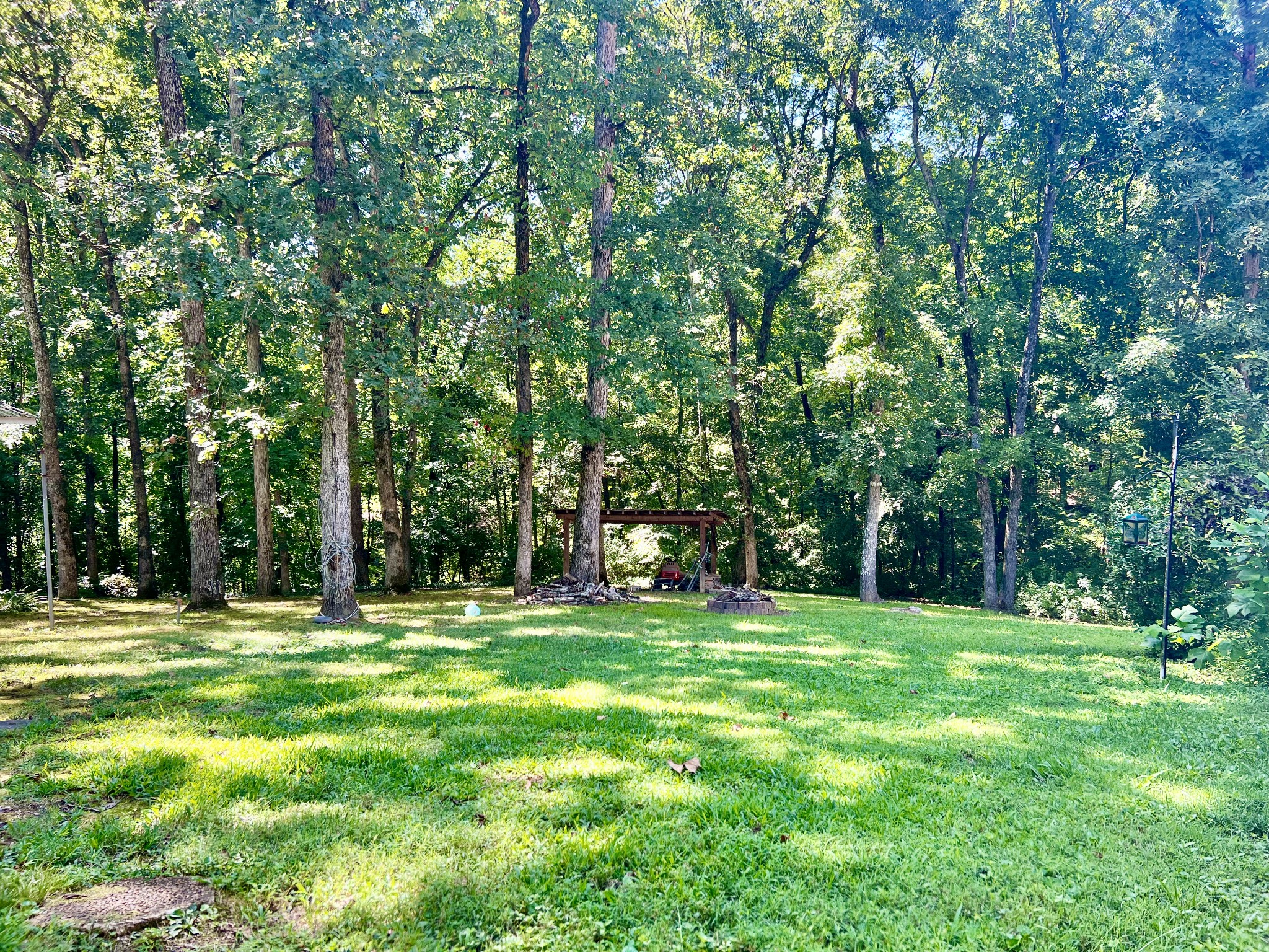120 Branch Road Springville, TN 38256 - Photo 4 of 5 Gallery Image 4