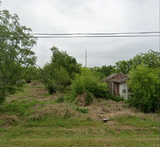 a view of a yard in front of a house