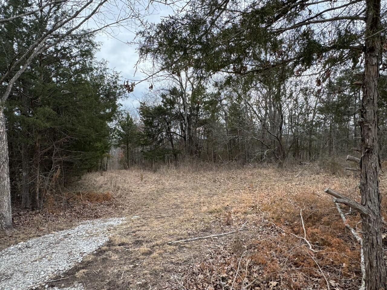 85-ac Burmingham Road Forsyth, MO 65653 - Photo 5 of 13 IMG_7229