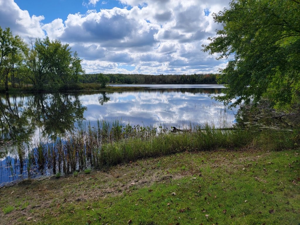 6733 W Golf Course Road Winter, WI 54896 - Photo 49 of 51