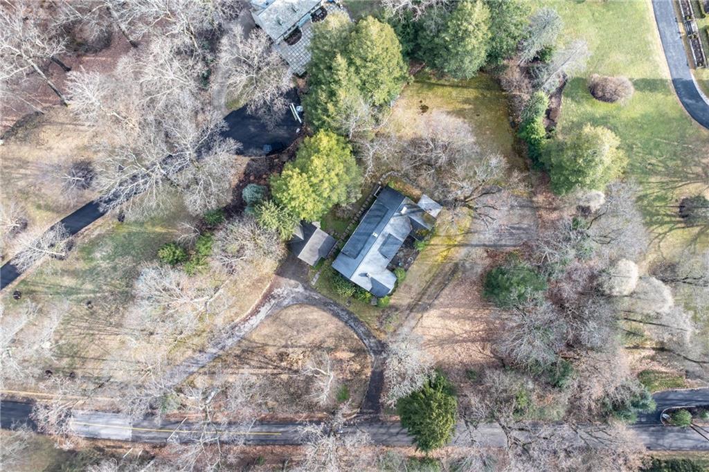 804 Persimmon Road Sewickley, PA 15143 - Photo 43 of 43 a plant with lots of trees