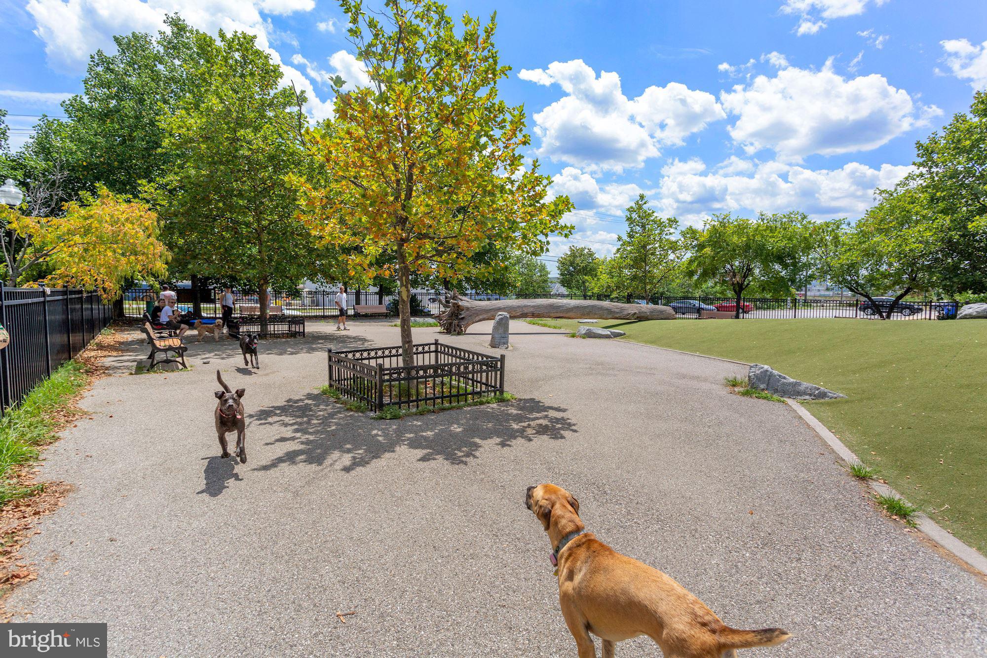 1334 Decatur Street Baltimore, MD 21230 - Photo 73 of 83 Pool, Trees, Tennis Balls, Water Bowls For Dogs