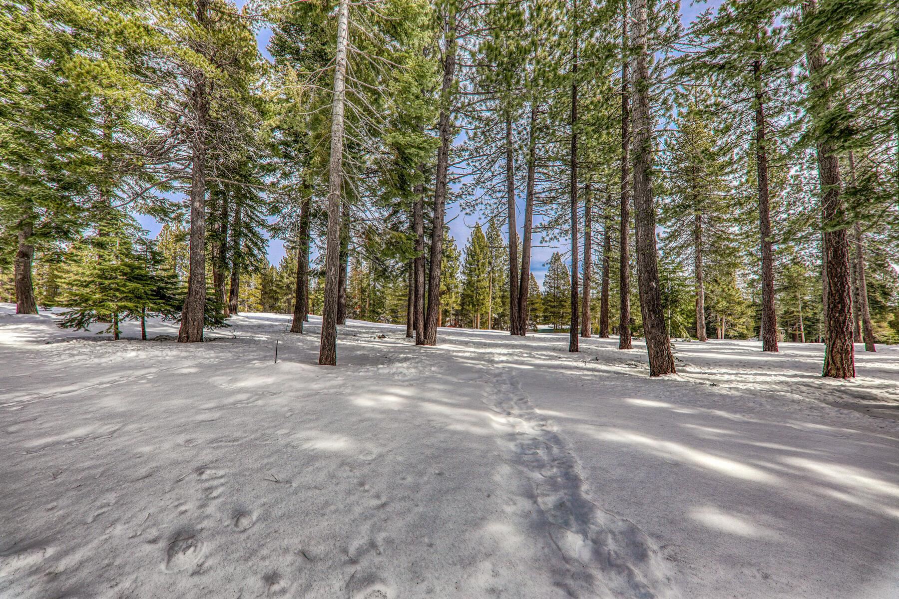 13742 Ski View Loop Truckee, CA 96161 - Photo 7 of 18