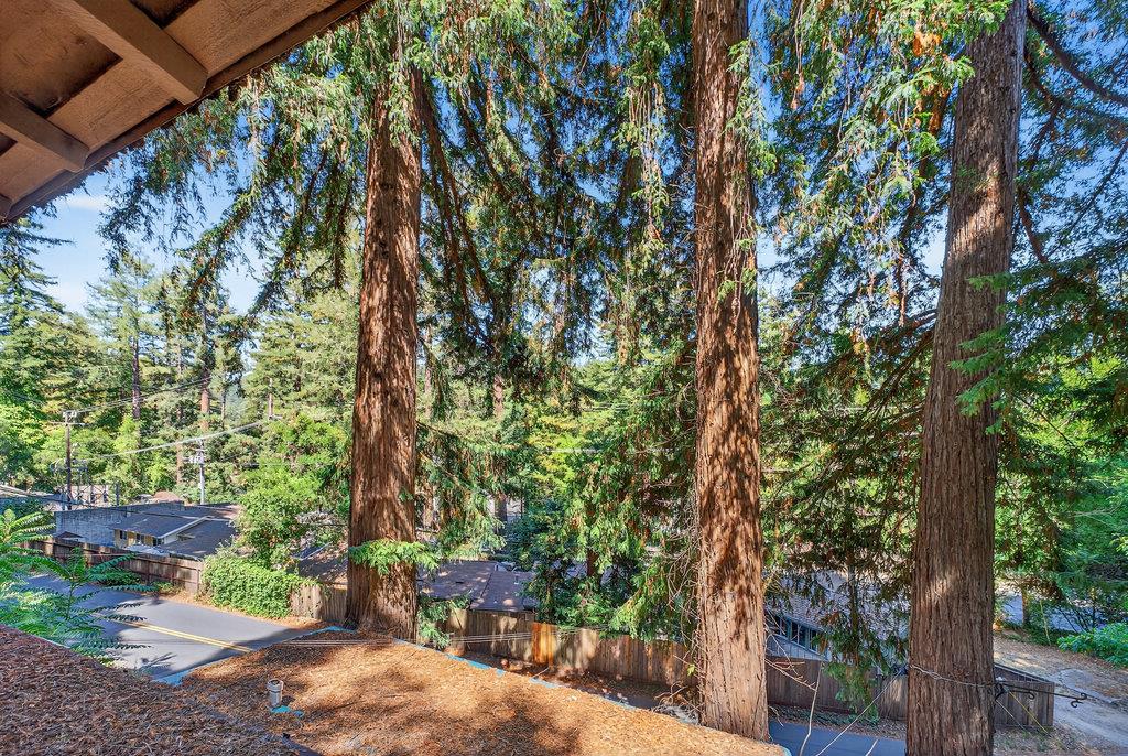 9969 Alba Road Ben Lomond, CA 95005 - Photo 10 of 20