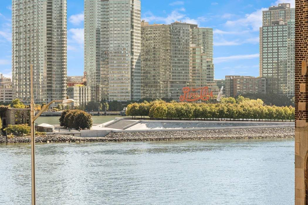 435 East 52nd Street, Unit 3A Manhattan, NY 10022 - Photo 20 of 35 a backyard of a house