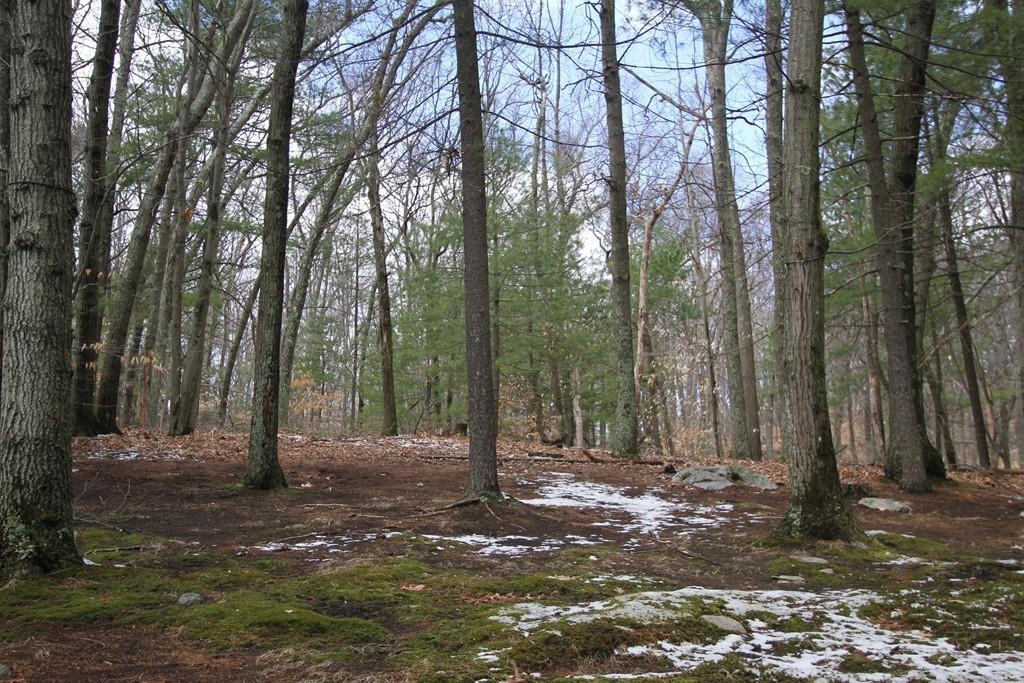 11 Woodpark Circle Lexington, MA 02421 - Photo 20 of 21