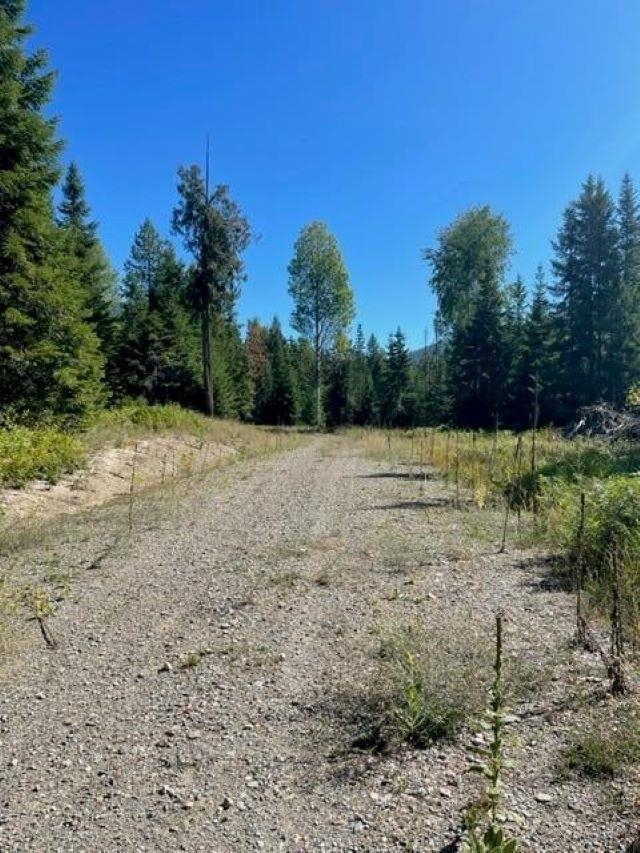 Tbd Lot 9 North Tbd Road Ione, WA 99139 - Photo 2 of 22 Gallery Image 2