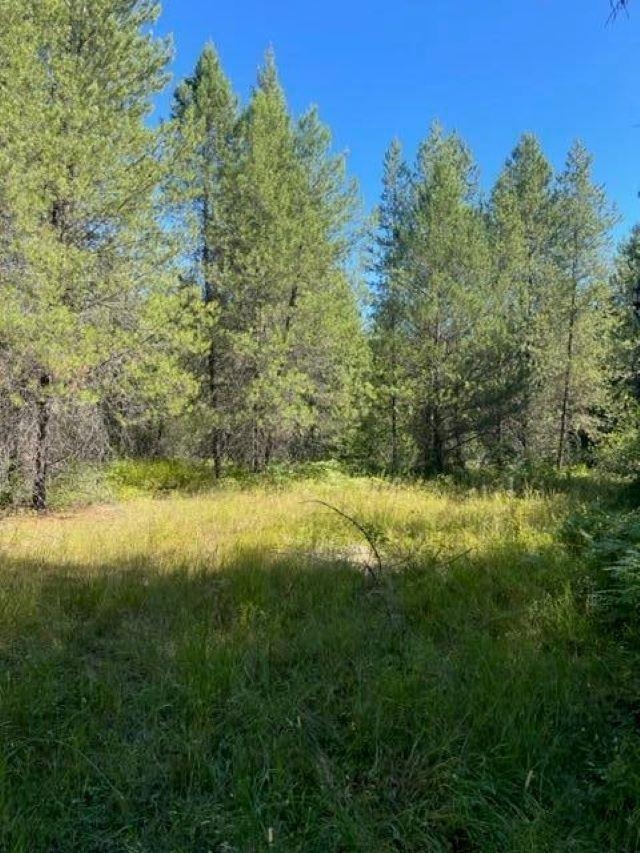 Tbd Lot 9 North Tbd Road Ione, WA 99139 - Photo 8 of 22 Gallery Image 8