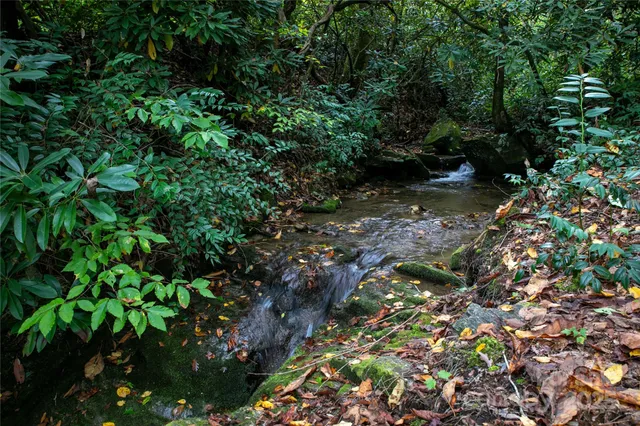 $1,145,000 | 923 Ugugu Drive, Brevard, NC 28712