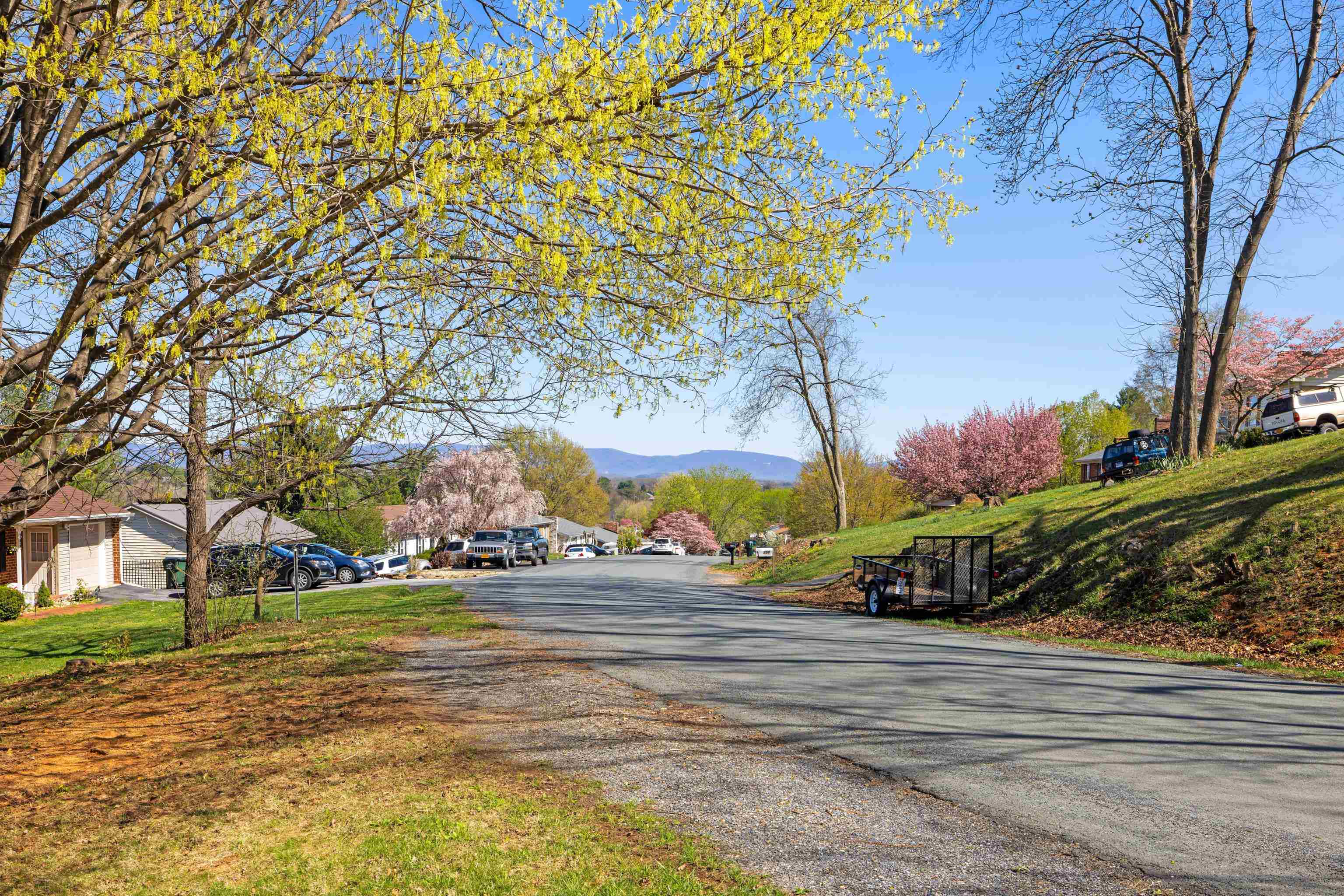 169 Mill Stone Drive Verona, VA 24482 - Photo 54 of 54 a view of a park with large trees