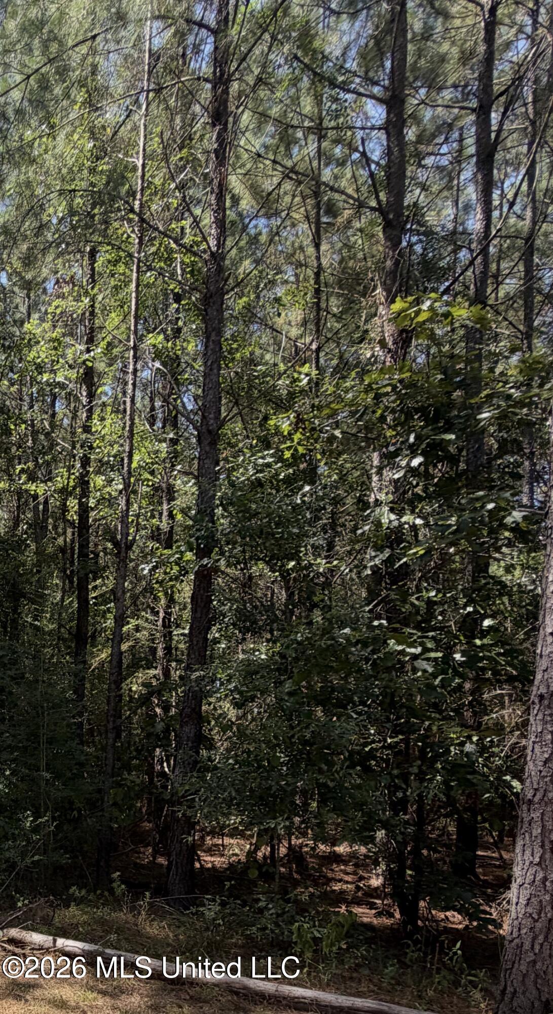 111 Progress Trail Sumrall, MS 39482 - Photo 2 of 9 IMG_6562