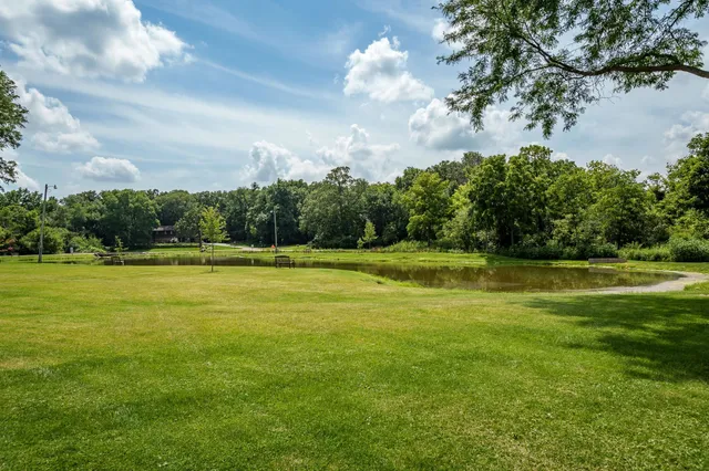 a view of a park with large trees