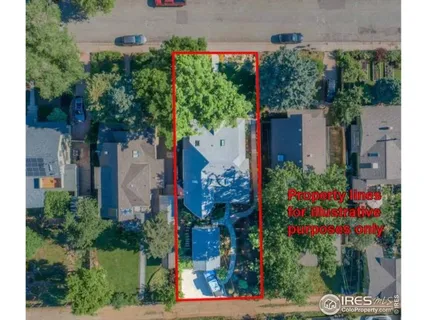 an outdoor space view with plants