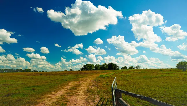 $750,000 | 1432 South Knezek Road, Flatonia, TX 78941