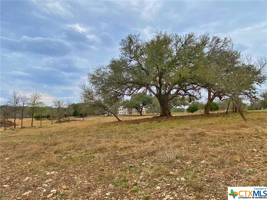 109 Rio Grande Drive Blanco, TX 78606 - Photo 12 of 20